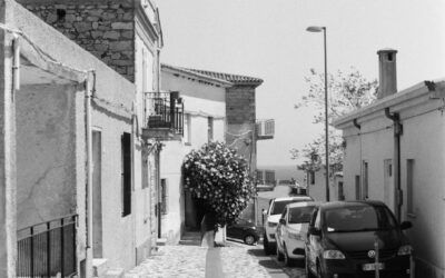 BLOG Arquitectura y salud mental: cómo los espacios afectan tu bienestar